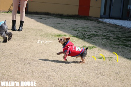 13030907.jpg