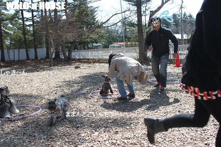 13041321.jpg