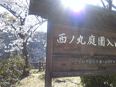 DVC00034.jpg