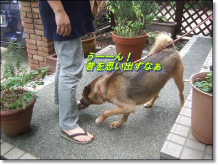 足フェチ?