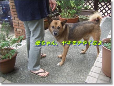 ヤキモチやくなよ