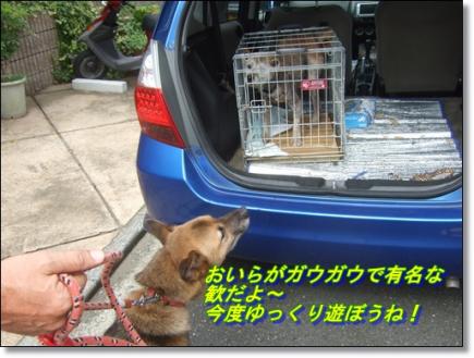歓もご挨拶