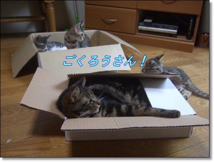 ごくろう