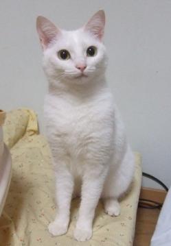 さんご1