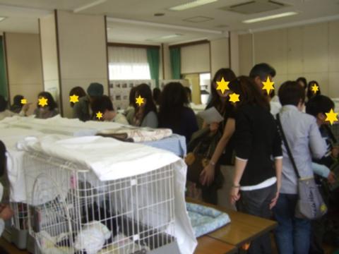 ねこ親会