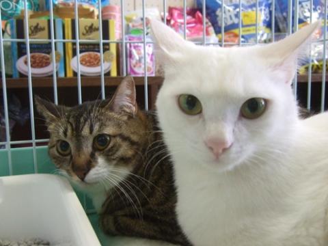珠々&さんご