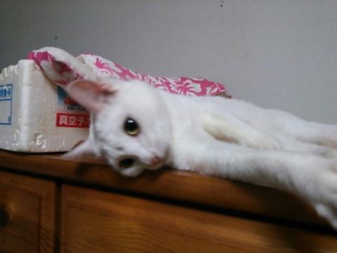 fc2_2013-04-27_01-23-13-703.jpg