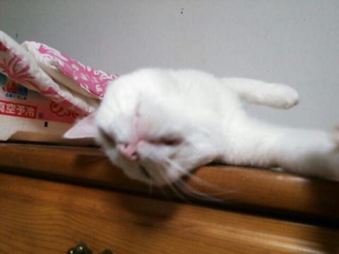 fc2_2013-04-27_01-26-10-819.jpg