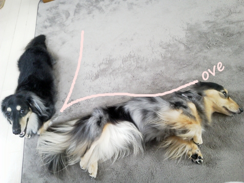 20110820.jpg