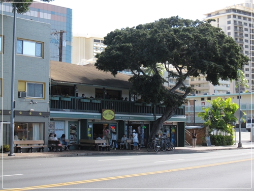 201302hawaii-23.jpg