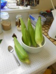 Vegeガーデンから生まれた小さなコーンDSCN0313