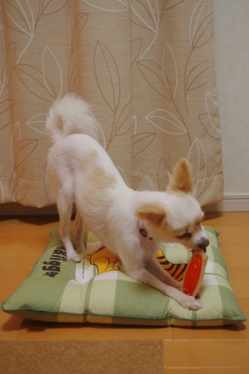20110921-1.jpg