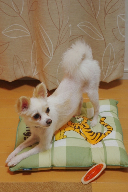 20110922-1.jpg