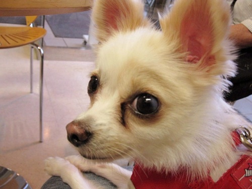20110923-1.jpg