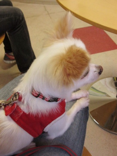 20110923-3.jpg