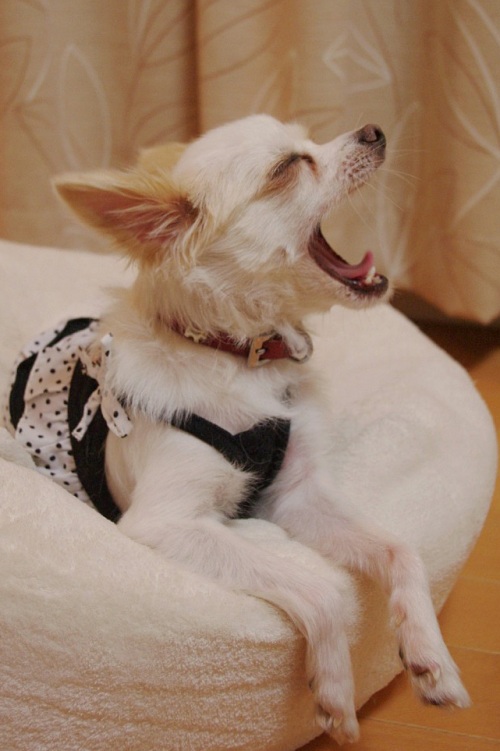 20111005-1.jpg