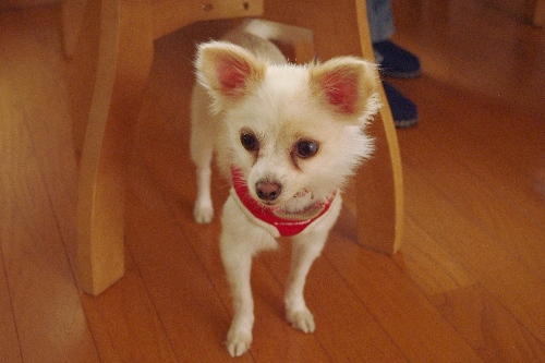 20111009-1.jpg