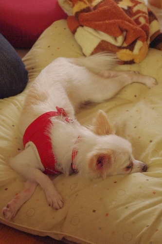 20111009-5.jpg
