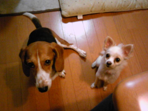 20111016-1.jpg