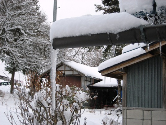 2013121600yukidesu1.jpg