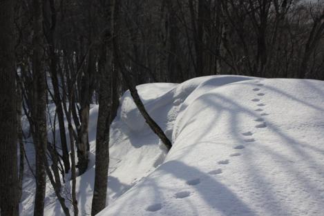 IMG_8149_R.jpg