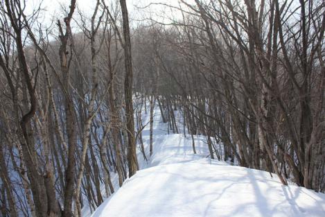 IMG_8150_R.jpg