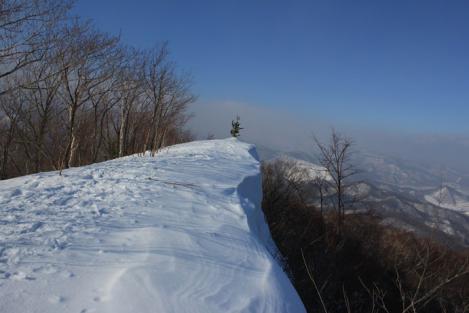 IMG_8177_R.jpg