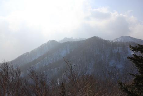 IMG_8180_R.jpg