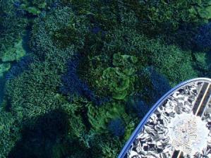 20110822-5.jpg