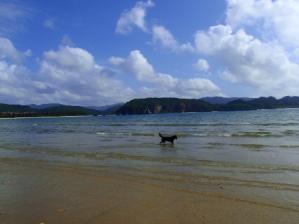 20120402-2.jpg