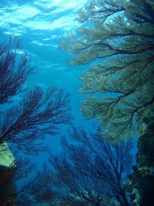 20120505-2.jpg
