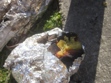 焼き芋