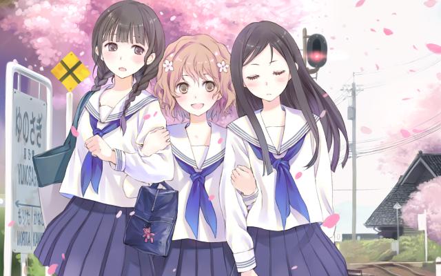 hanasakuiroha2.jpg
