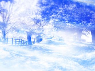 光溢れる青の風景