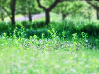 公園の片隅で・・・