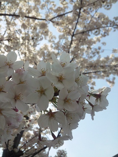 120410_133235.jpg