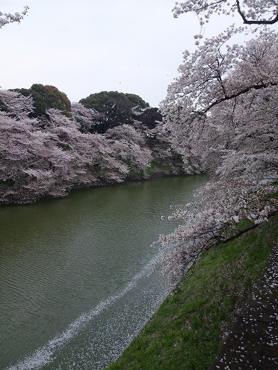 120411_115613.jpg