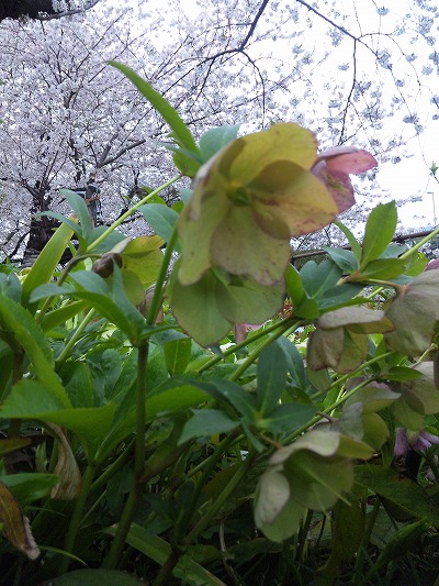 120411_120613.jpg