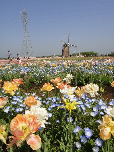 回転DSC03773