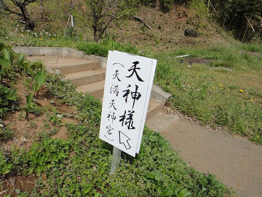 DSC03720.jpg