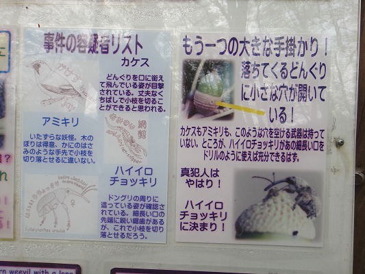 DSC03727.jpg