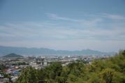 IMG_5998.jpg