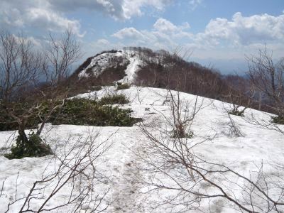 P1030519_400.jpg