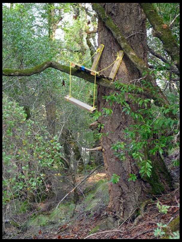 Wood WorkHomemade Tree Stand Plans - How To build DIY ...