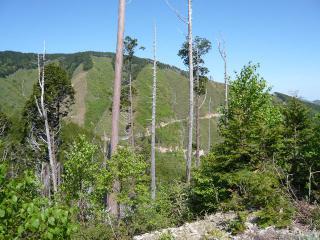 pic 085_R