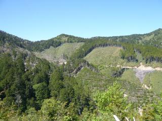 pic 084_R