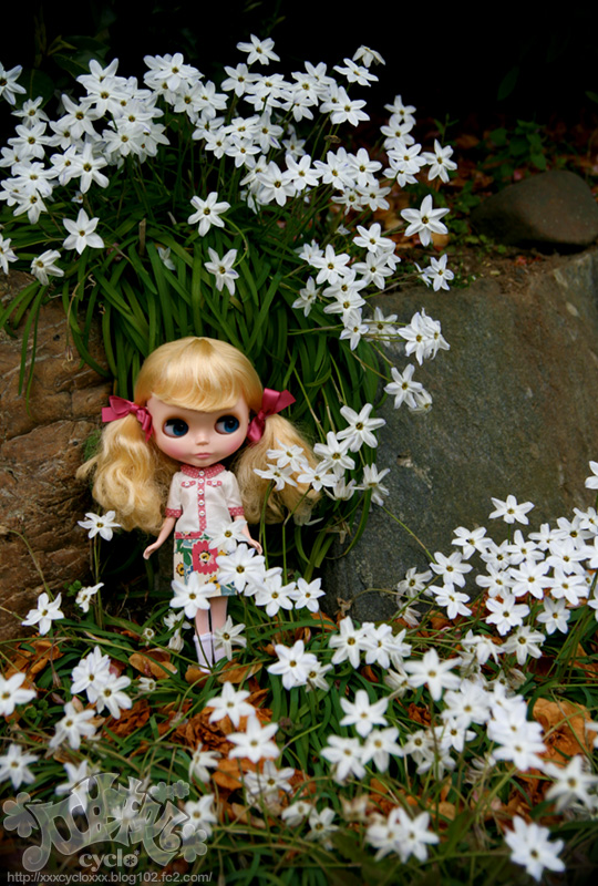 03_2013SpringSaitama.jpg