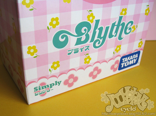 03_SMangoBox.jpg
