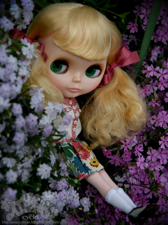 10_2013SpringSaitama.jpg