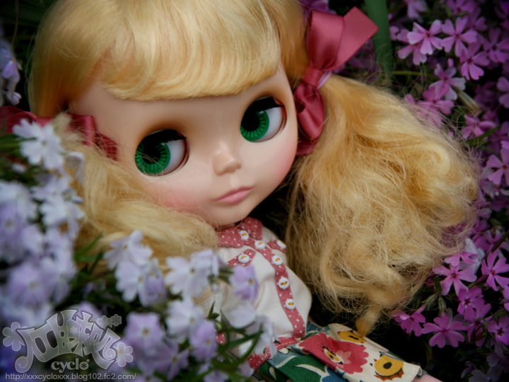 11_2013SpringSaitama.jpg